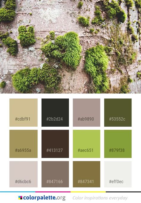 30 Moss Green Color Palette Ideas Trends Remodelling House