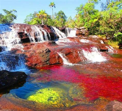 Caño Cristales Colombia Beautiful Places To Visit Beautiful Places