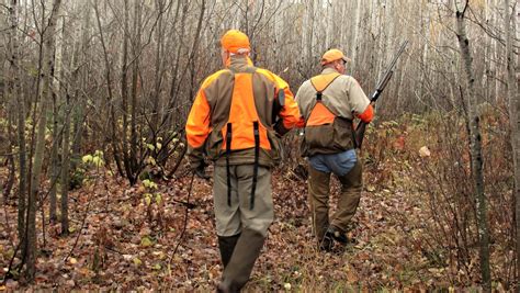 Find The Best Grouse Hunting Areas In Michigan Scout N Hunt Unianimal
