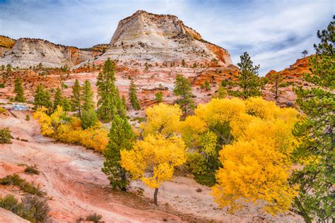 Maybe you would like to learn more about one of these? St. George, Utah: The Gateway to Outdoor Family Fun ...