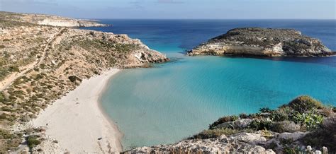 National Geographic L Isola Dei Conigli Di Lampedusa Una Perla