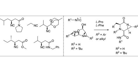 Synthesis Of Chiral Piperazinones Using Amphoteric Aziridine Aldehyde