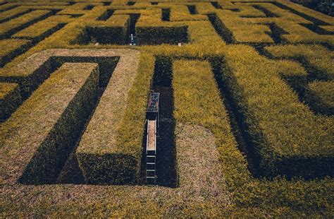 500 Maze Pictures Hd Download Free Images On Unsplash