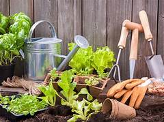 Gardeners Haven Discover Plants Seeds And Gardening Supplies On Craigslist Greensboro