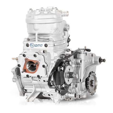Go kart engines for sale, race kart engines, kt100, comer, vortex, rotax, for tonykart, topkart go cart, race kart sale price: Official Details of SKUSA \ IAME's 175cc Shifter - Two ...