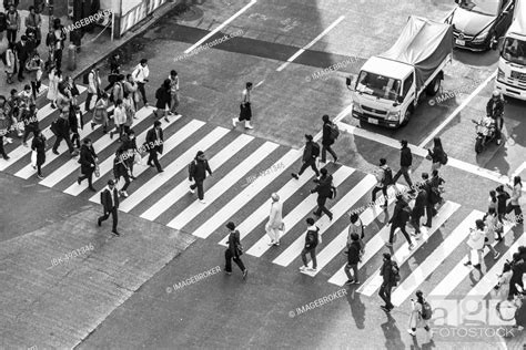 Shibuya Crossing Crowds At Intersection Many People Cross Zebra