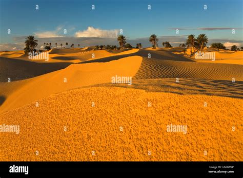 Zaafrane Dunes Hi Res Stock Photography And Images Alamy