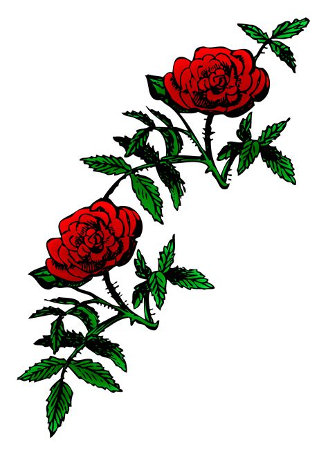 Rose Pictures Art Clipart Best