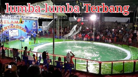 We did not find results for: Atraksi ikan lumba-lumba terbang - YouTube