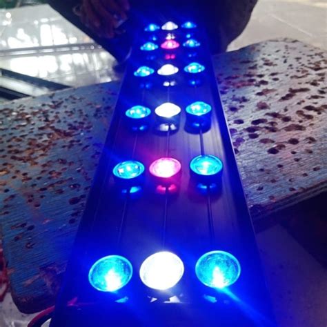Siapa sih yang tidak suka dengan keindahan hiasan untuk ikan air tawar peliharaan kita. Harga Lampu Led Aquascape Kecil - LAMPUTASOR