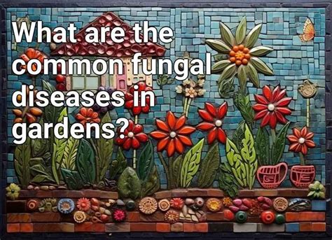 What Are The Common Fungal Diseases In Gardens Gardeninggovcapital