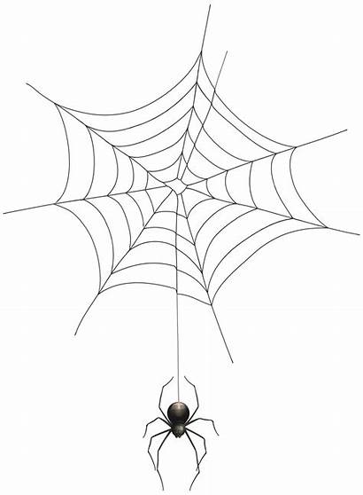 Spider Web Transparent Background Clipart Clip Spiderweb