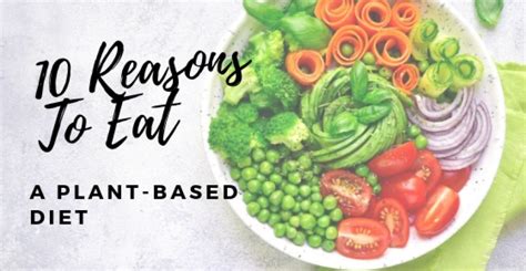 10 Reasons To Eat A Plant Based Diet Shannon Elizabeth Fitness