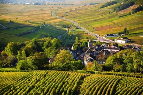Exploring The Ancient Vineyards Of Burgundy Now Classified By Unesco