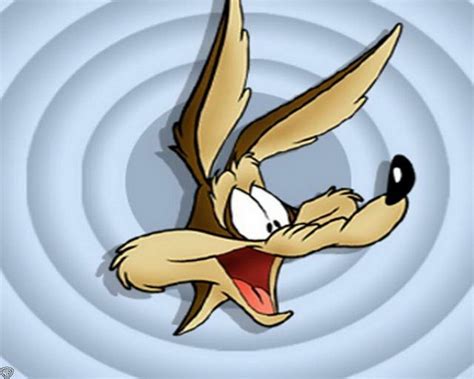 Wile E Coyote Looney Tunes Looney Coyote