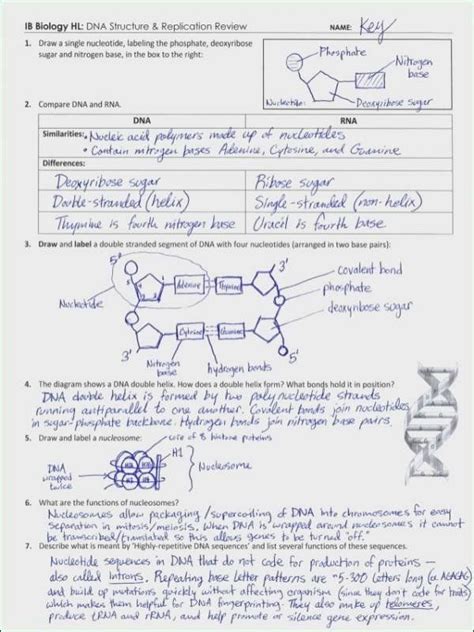 You can use this course at any time to bring up your biology grades. Pin on Editable Worksheet Templates