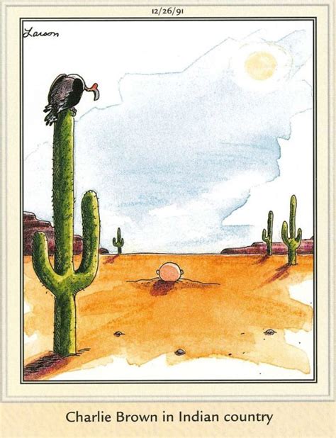 Image Result For The Far Side Frogs In The Desert Far Side Comics