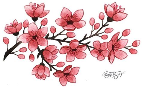 Pin By Sonat şen On Cheery Cherry Blossoms Flower Drawing Cherry