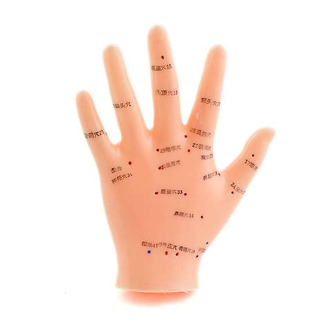 Wie bereits erwähnt, bieten verschiedene akupressurpunkte in ihrer hand unterschiedliche 1. Akupunktur Hand-Modell, Weichplastik