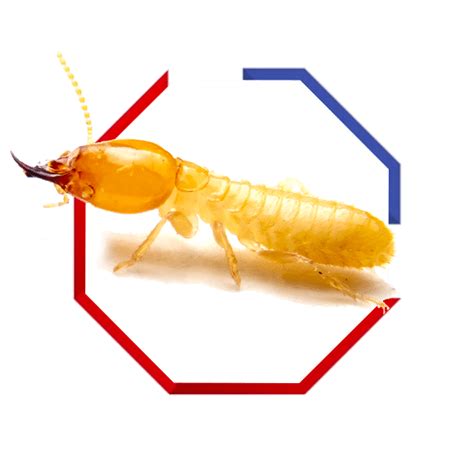 The cost of inspections is determined by the kind of inspection that you might want. Franklin Pest Control