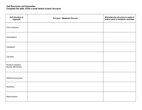 The animal cell quiz answersall education. 17 Best Images of Cell Organelle Worksheet.pdf - Cell ...