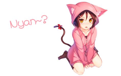 cat anime girl wallpaper