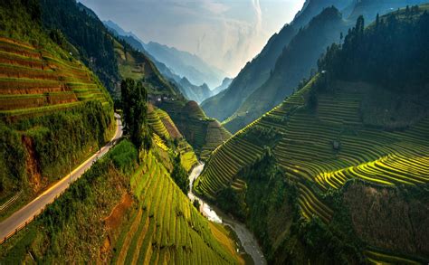 1920x1200 Mountain Vietnam Sunlight Landscape Sun Rays Terraces Rice