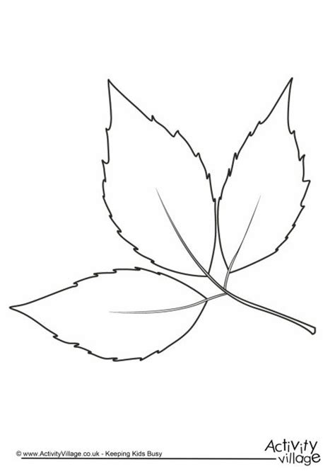 Autumn Leaf Colouring Page 2