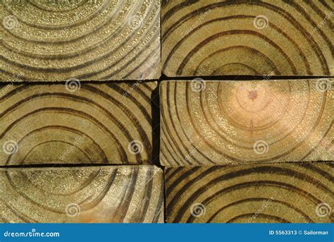 Close Up Of Wood Grain Stock Photos Image 5563313