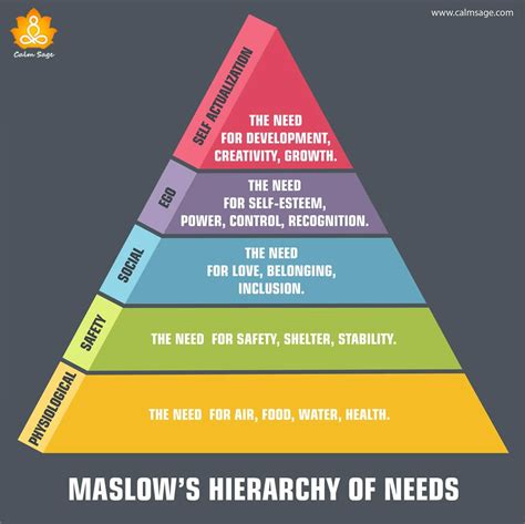 Maslows Hierarchy Of Needs Maslows Hierarchy Of Needs First Year Porn Sex Picture