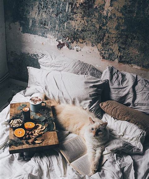 Good Morning ☀️ Photo 📸 Ezgipolat Bed Scene Dreamy Bed I Love Sleep