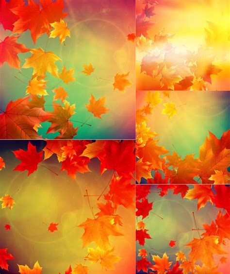 Beautiful Soft Fall Backgrounds With Falling Leaves Vector Free
