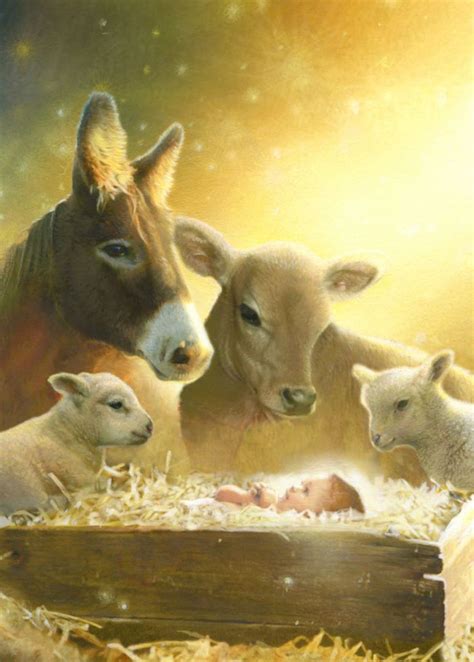 Christian Christmas Image By Jeanne M On Nativity Christmas Animals Art