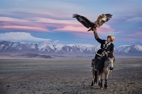 Mongolian Eagle Hunter Kazakh Mongolian Eagle Hunter In Altai
