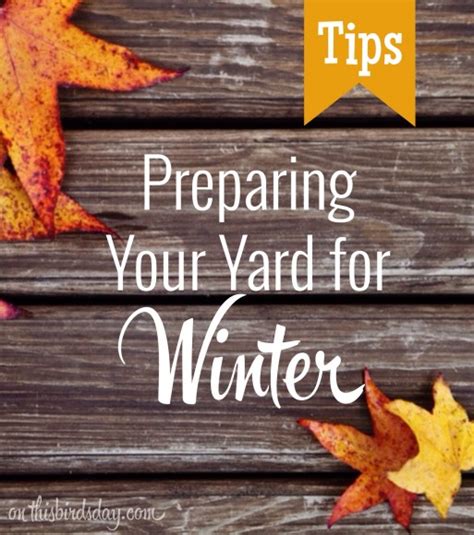 Preparing Your Yard For Winter