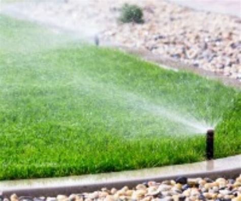 How Often Should You Water New Turf George Davies Turf