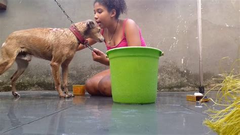 Dando Banho No Amarelo Cachorro Da Vov Youtube