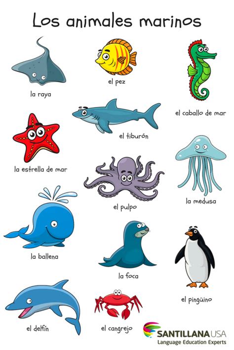 Los juegos son fundamentales para los niños en edad preescolar. Los animales marinos | Vocabulario español, Aula de español, Aprender español