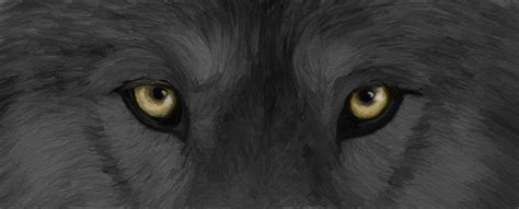 Wolf Eyes By Darksirnobody On Deviantart
