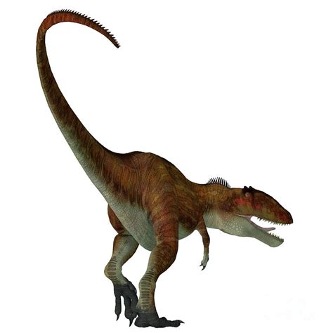 Carcharodontosaurus Dinosaur Tail Digital Art By Corey Ford Fine Art