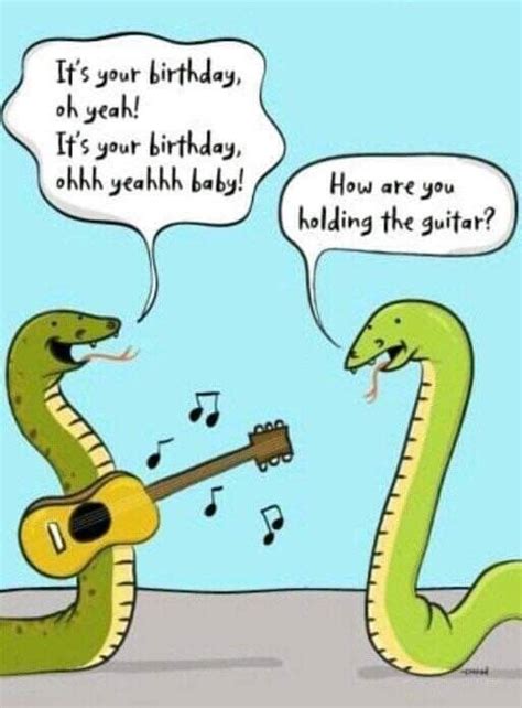 Snake Happy Birthday Meme Snakesb