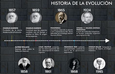 Historia De La Evoluci N De Los Seres Vivos Linea Del Tiempo Sobre La Historia De La Evolucion