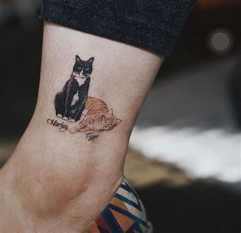 Soltattoo On Instagram Cat Tattoo Designs Cat Tattoo Tattoos