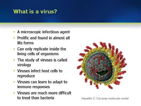 Different Types Virus Different Types