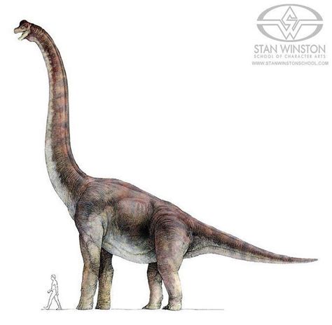 🇦🇺 Aegyptiacus3 🇦🇺 On Instagram “jurassic Park Brachiosaurus Colour