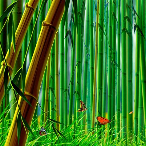 Free Download Hd Bamboo Plant Wallpapers Download Free Wallpapers In Hd