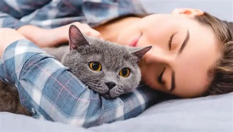 Why Do Cats Sleep With You Petculiars