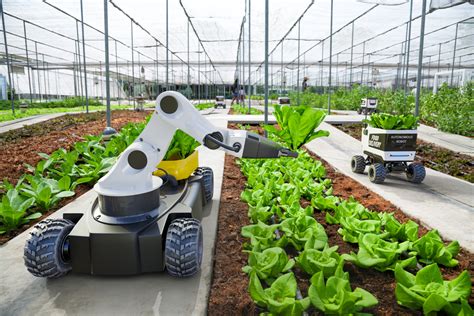 Robotic Gardening System Fasci Garden