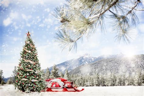 Snowy Outdoor Christmas Tree Scene In Mountains Stock