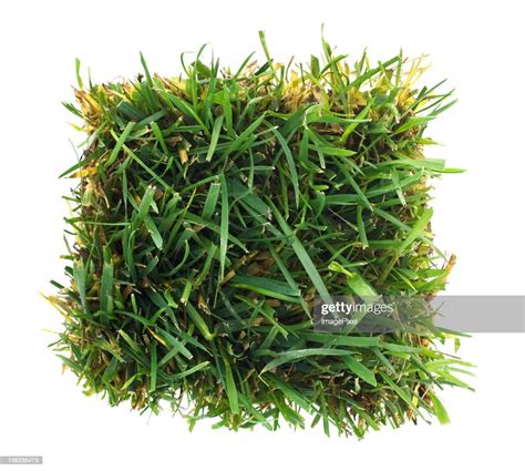 Green Grass Patch High Res Stock Photo Getty Images